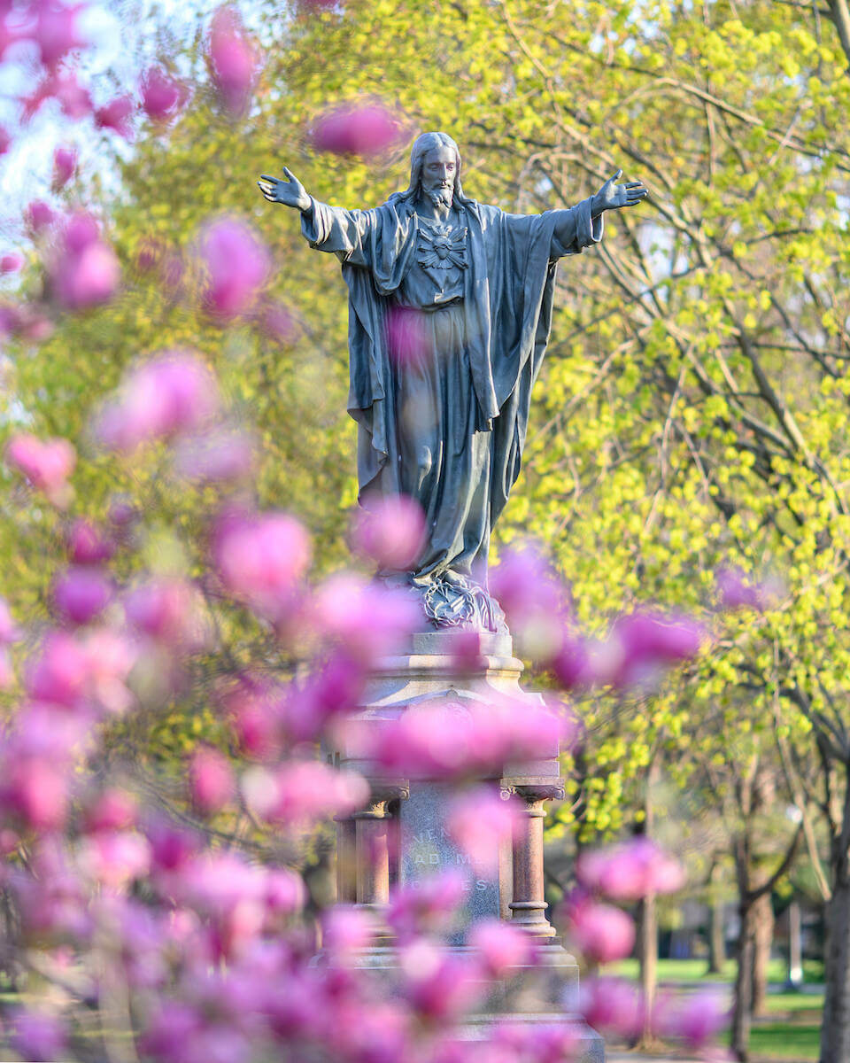 Main Quad Jesus statue in spring with pink blooming flowers