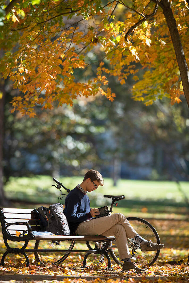 Student studies in the Main Quad on a bench under a tree in the fall